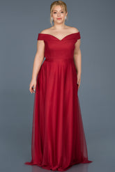 Plus Size Tulle Gown1